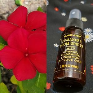 Pomander Room Spritz - Orange and Brown
